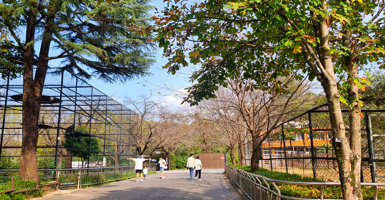 Jeonju Zoo