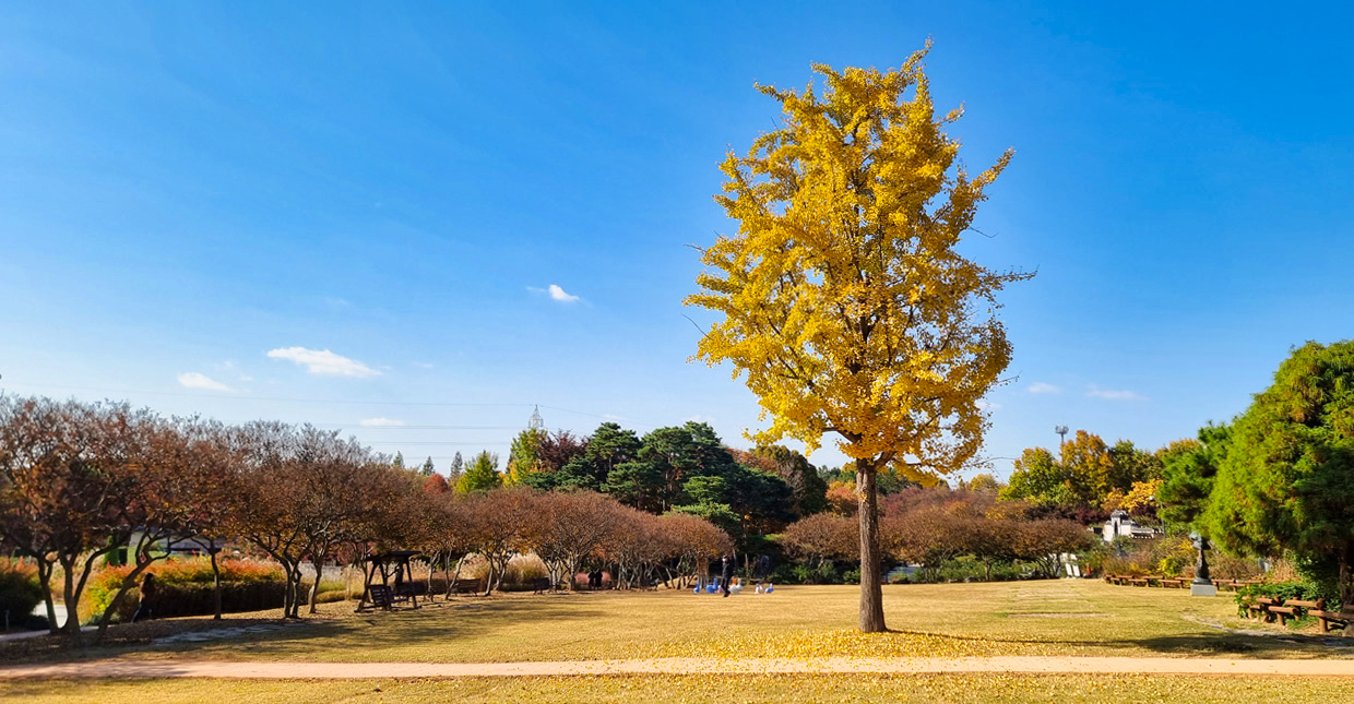 Jeonju Arboretum