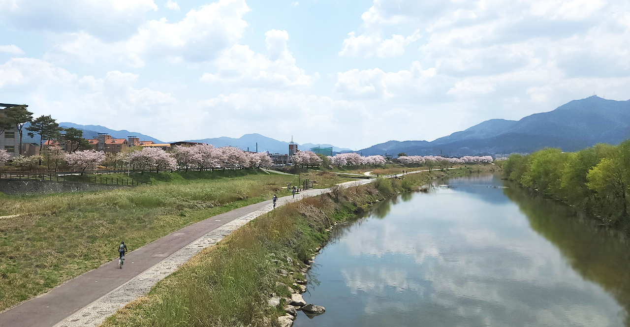 Riverside Samcheon River