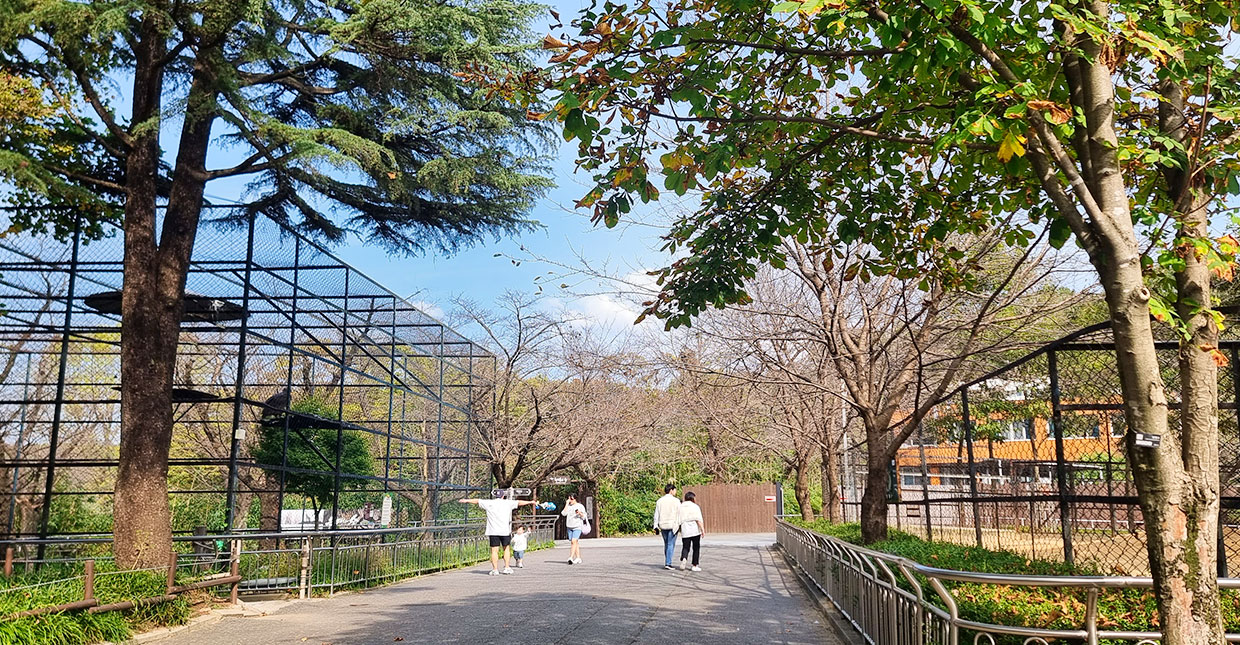 Jeonju Zoo