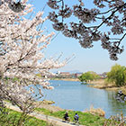 Jeonju Stream