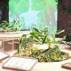Nature Ecological Museum
