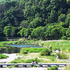 The Path to Get Some Fresh Air in Jeonju