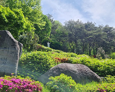 Chimyeongjasan Holy Ground