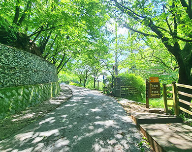 Cheongyeongdae