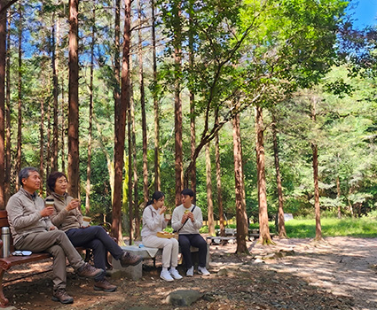 건지산 편백나무숲