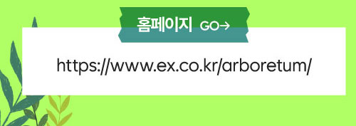 홈페이지 보러가기