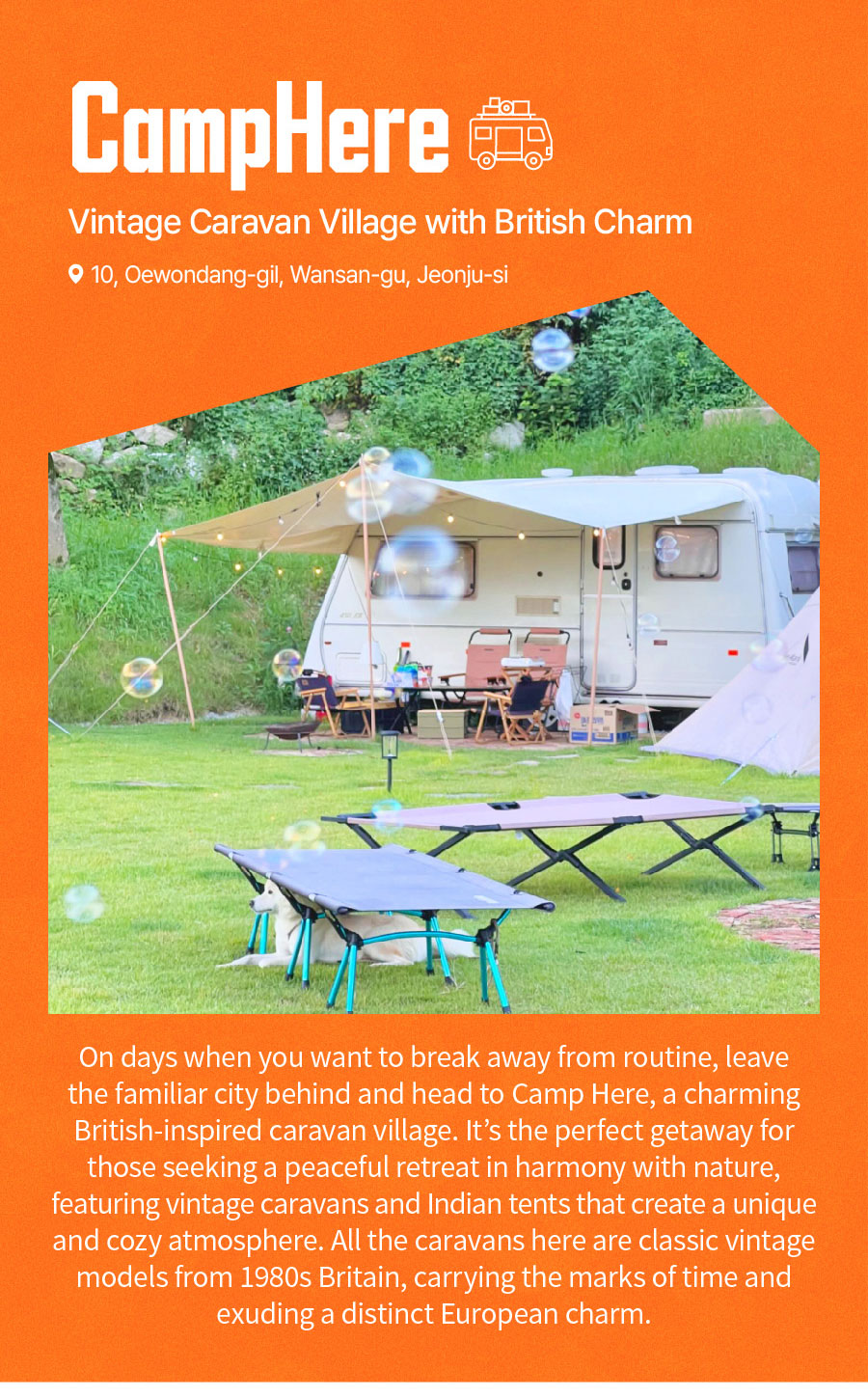 
                               Vintage Caravan Village with British Charm ,CampHere.
                               On days when you want to break away from routine, leave the familiar city behind and head to Camp Here, a charming British-inspired caravan village. It’s the perfect getaway for those seeking a peaceful retreat in harmony with nature, featuring vintage caravans and Indian tents that create a unique and cozy atmosphere. All the caravans here are classic vintage models from 1980s Britain, carrying the marks of time and exuding a distinct European charm.
                               