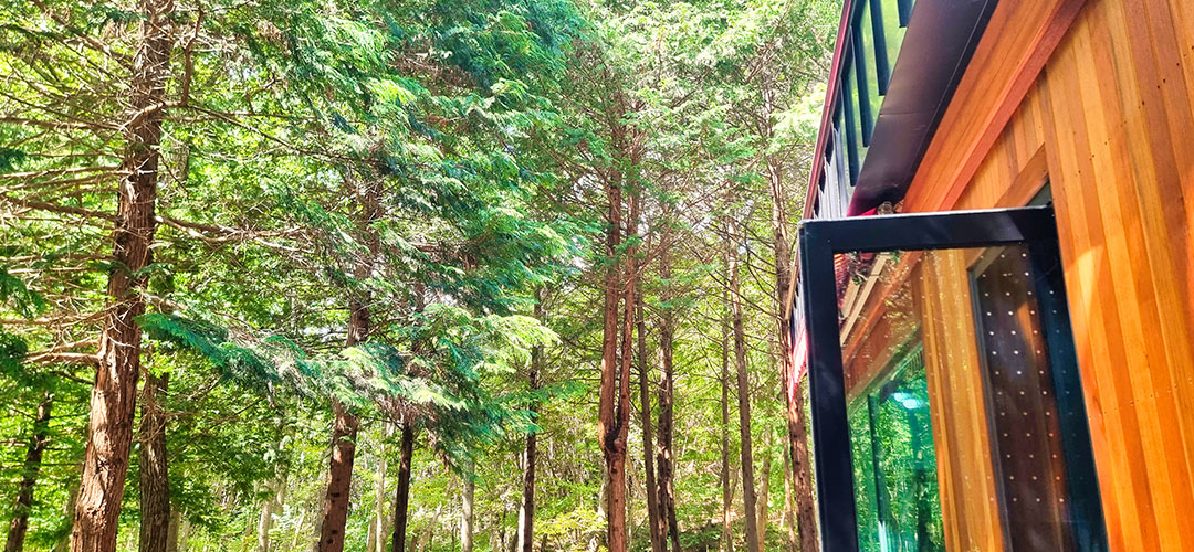 건지산숲속작은도서관 