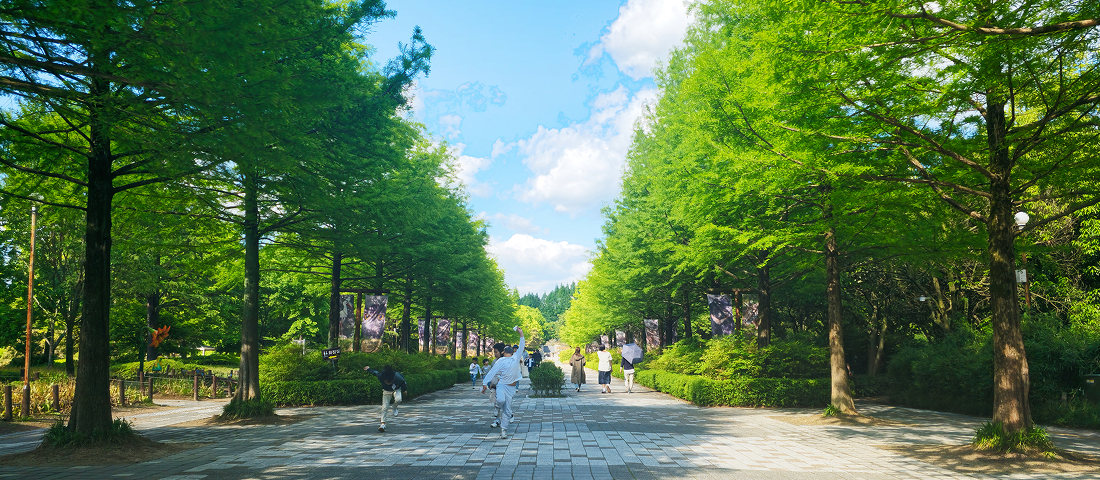 全州动物园 & Dreamland 