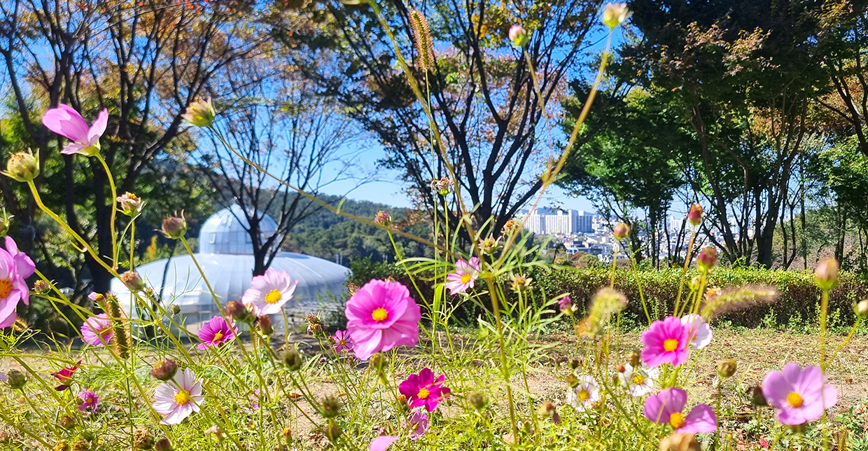 Jeonju Yangmyojang