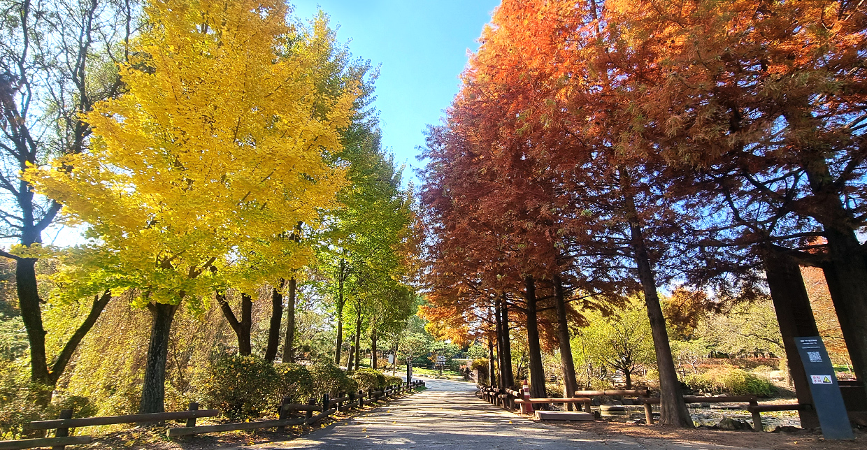 Jeonju Arboretum