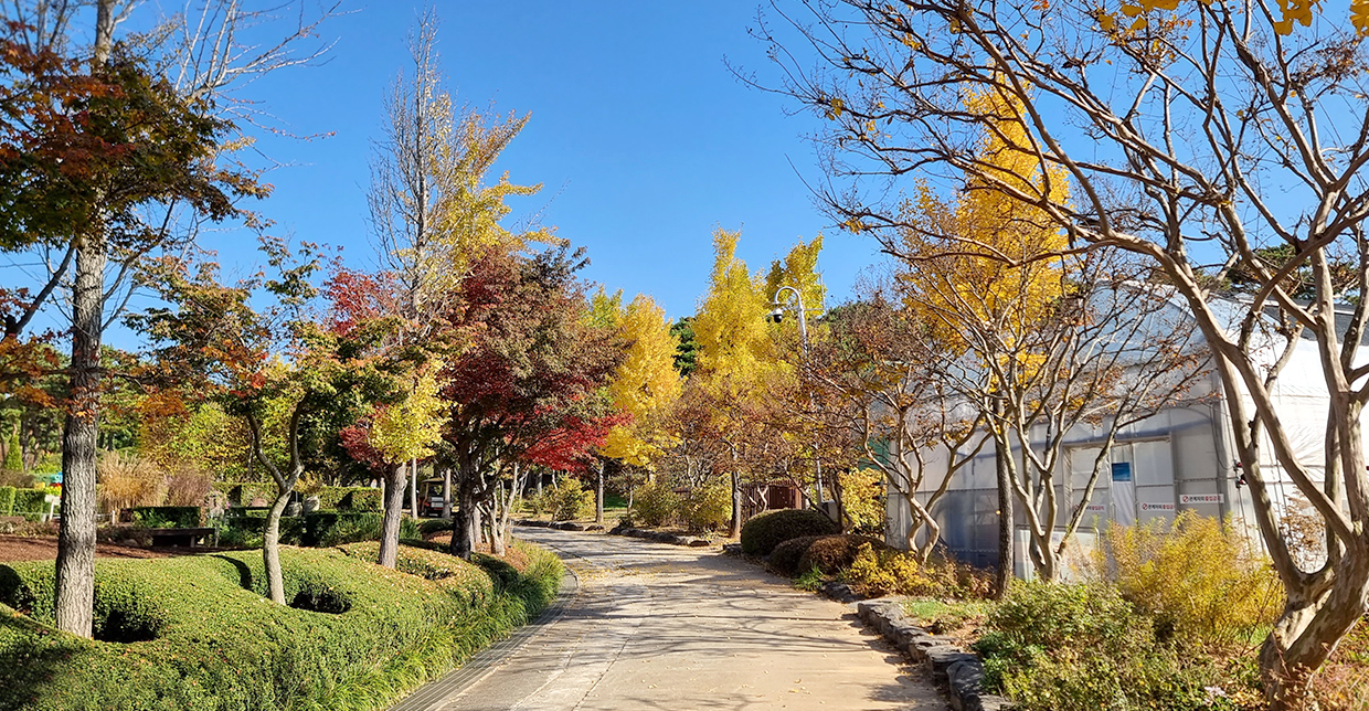 Jeonju Arboretum