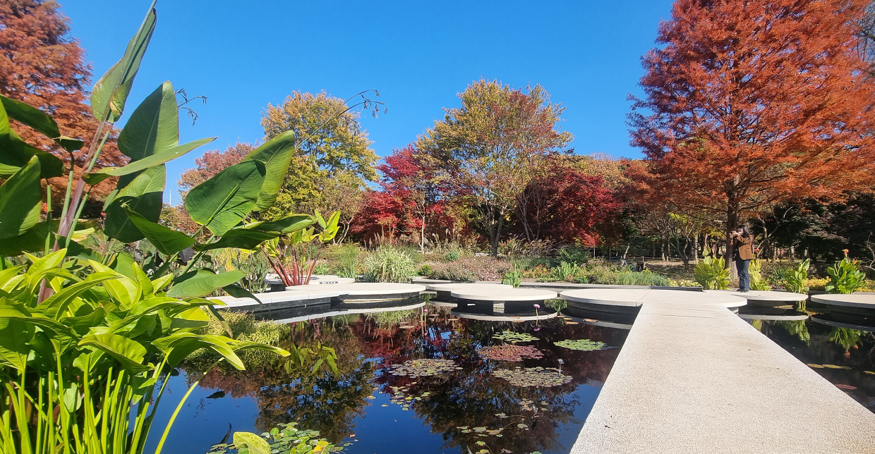 Jeonju Arboretum