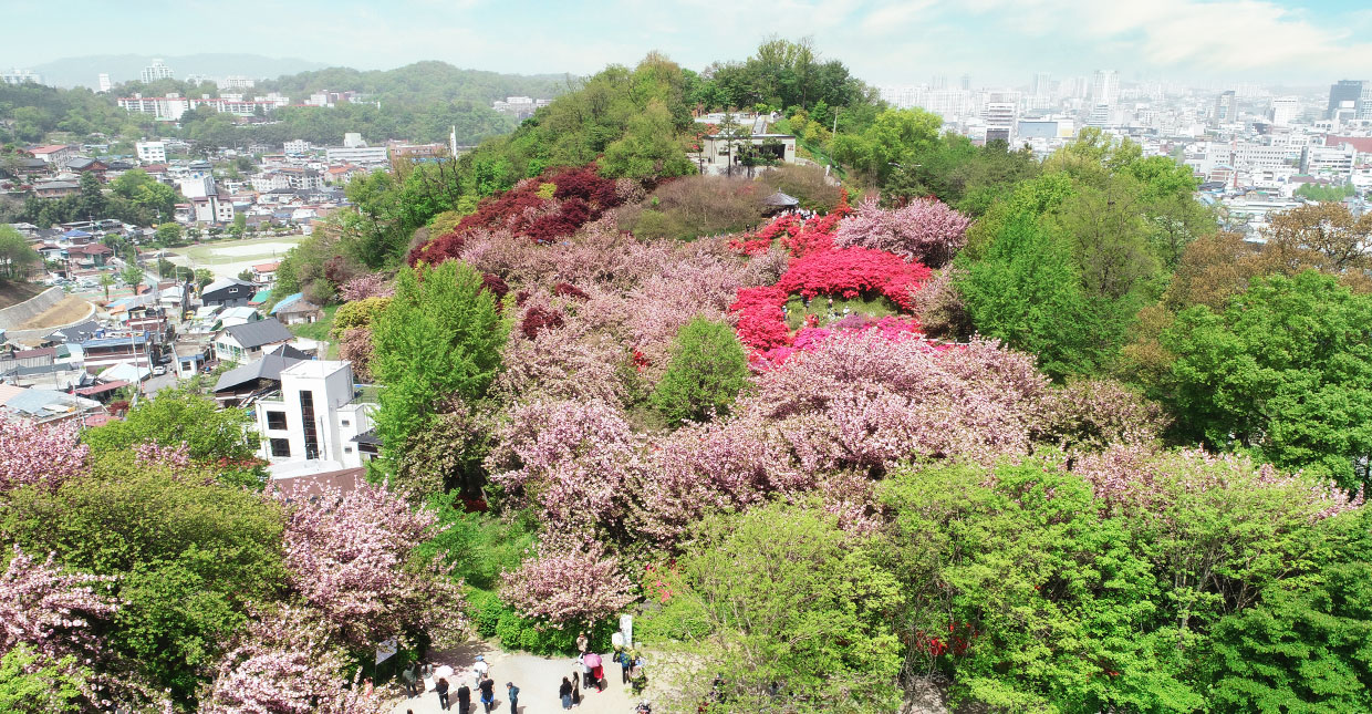 전주 완산꽃동산