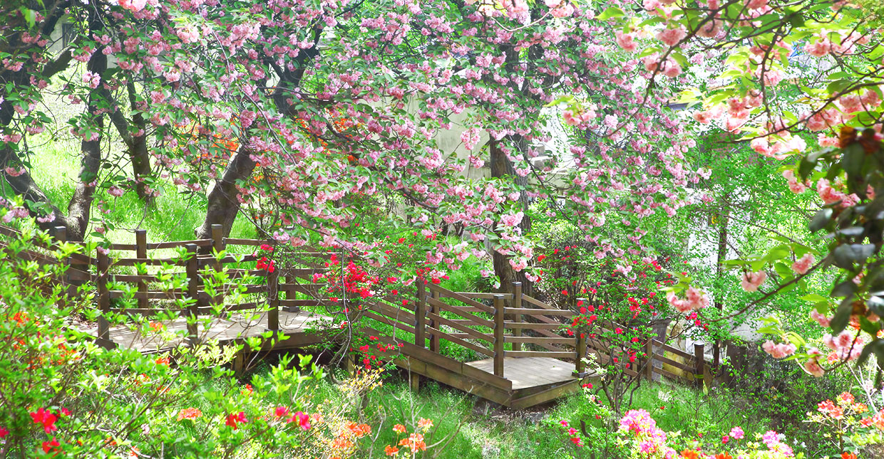 The Wansan Flower Garden