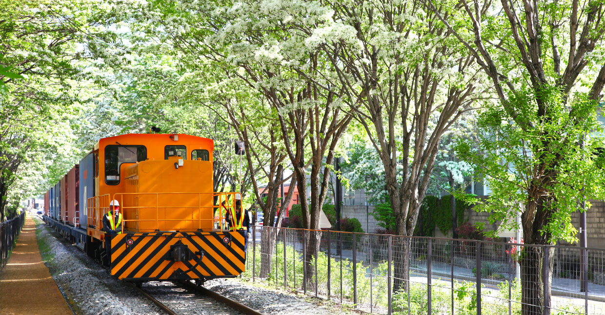 the Fringe tree railroad track