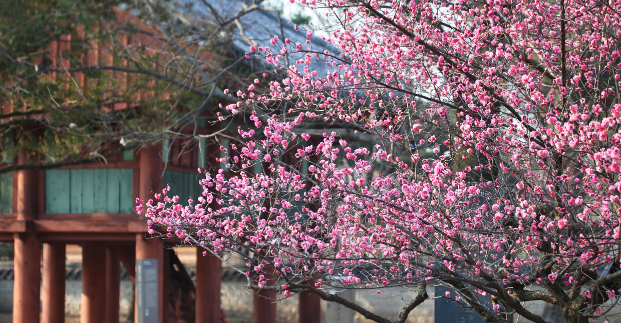 Jeonju Hanok Village