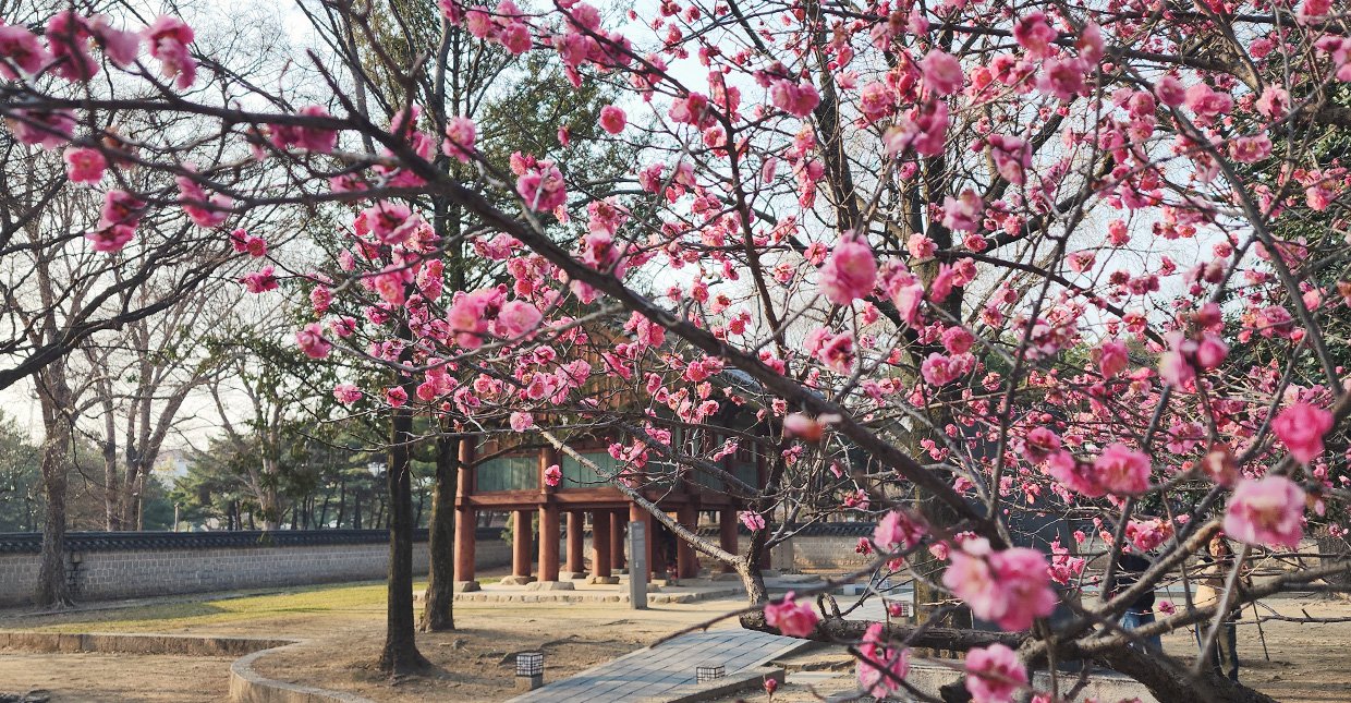 Jeonju Hanok Village