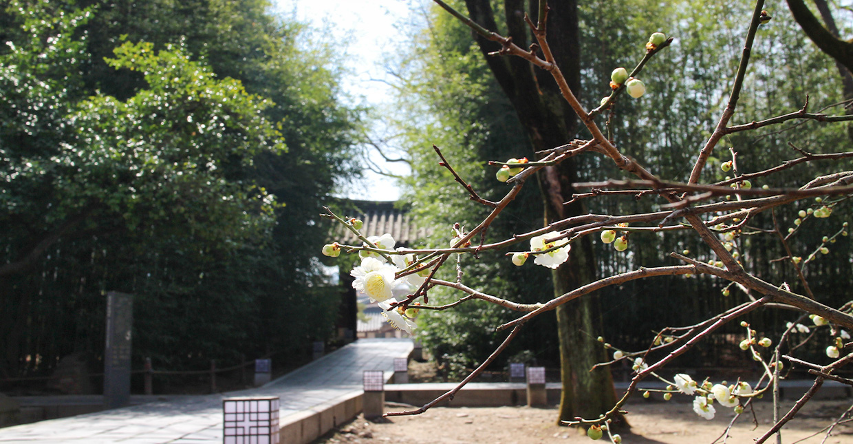 Jeonju Hanok Village