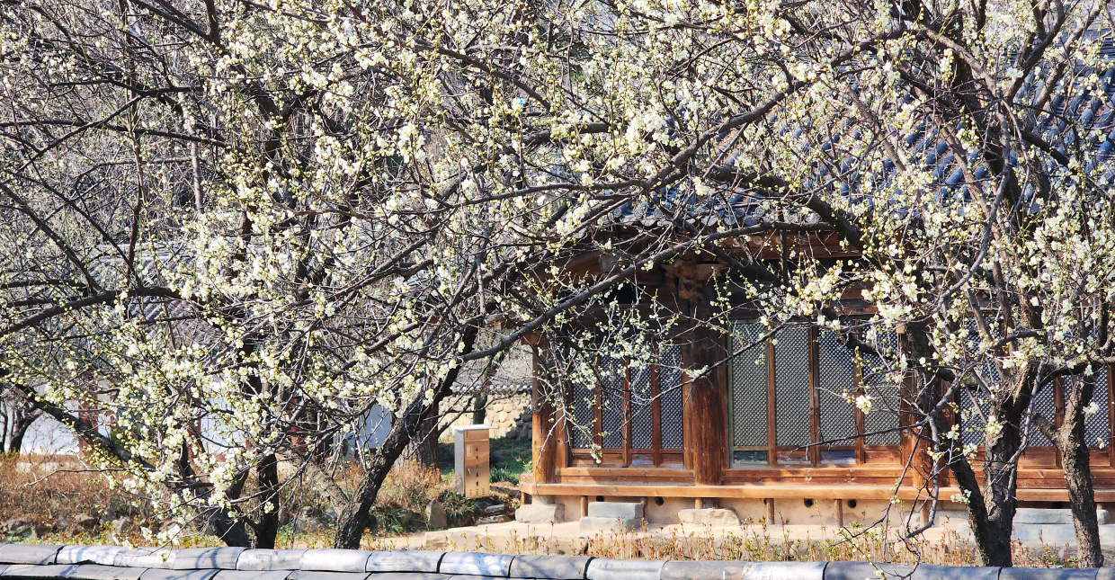 Jeonju Hanok Village