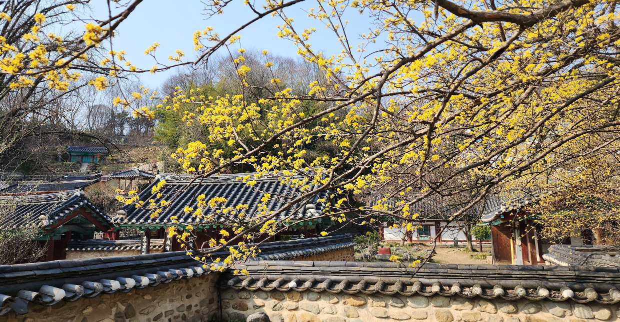 Jeonju Hanok Village
