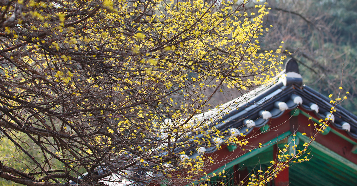 Jeonju Hanok Village