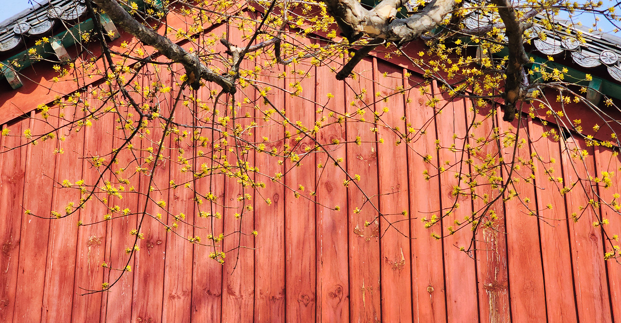 Jeonju Hanok Village