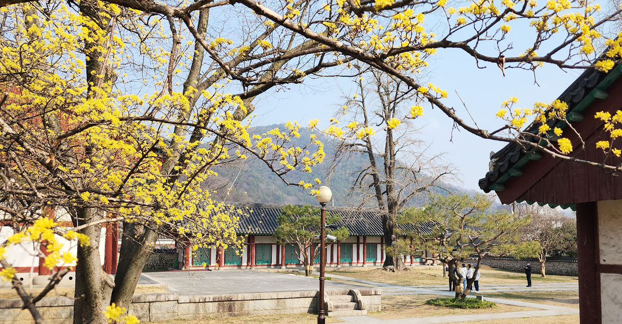 Jeonju Hanok Village