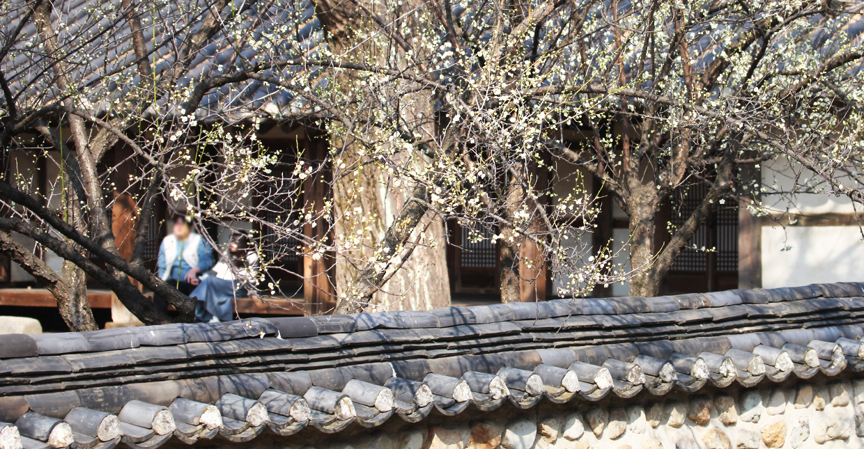 Jeonju Hanok Village
