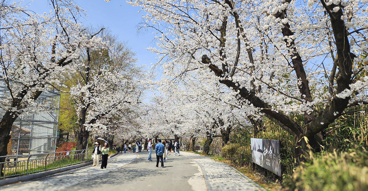 전주 피크닉 명소