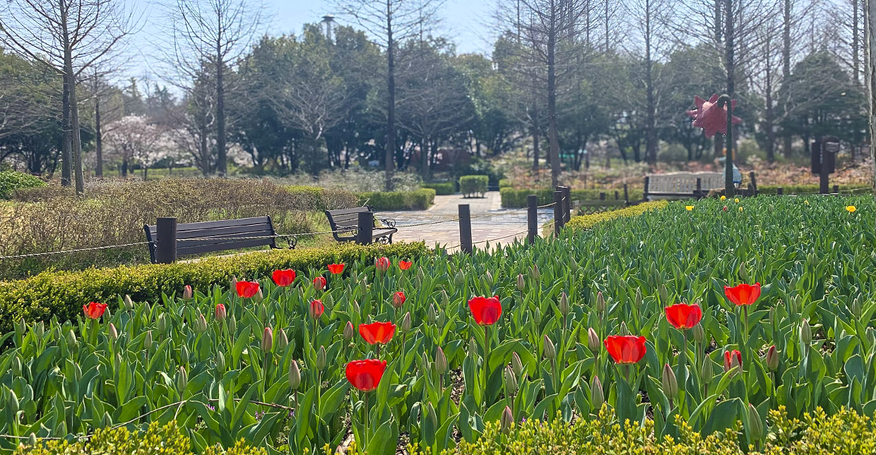 전주 피크닉 명소