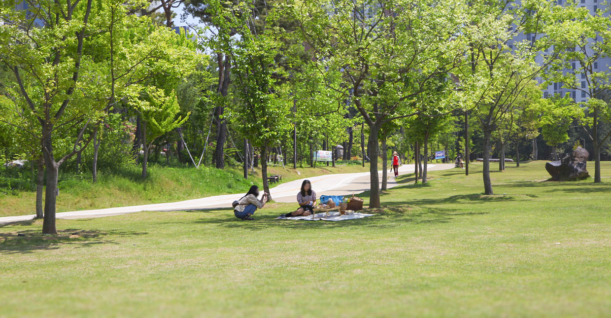 전주 피크닉 명소