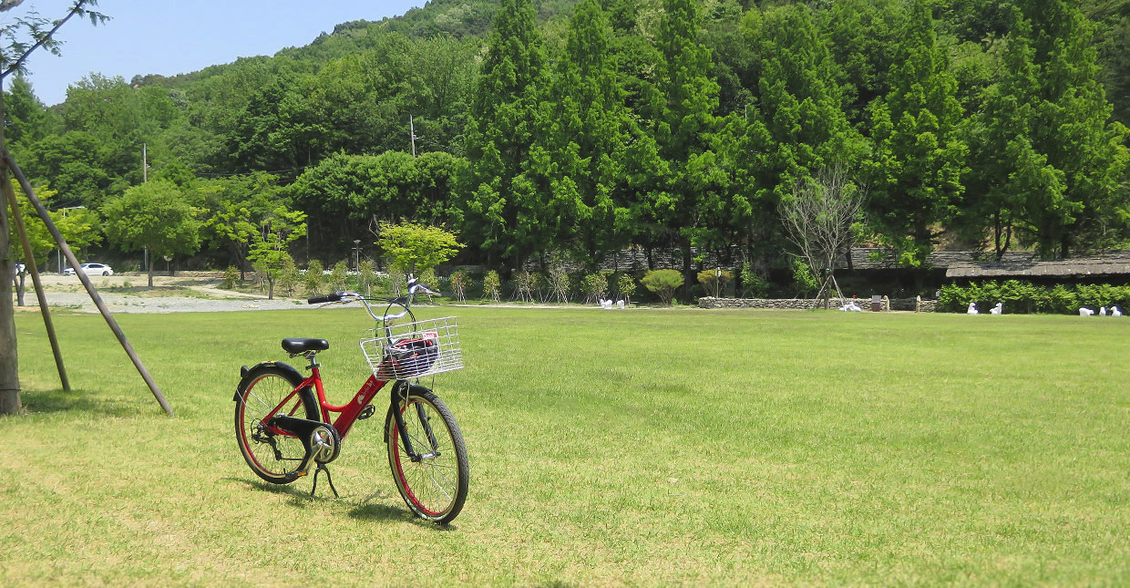 전주 피크닉 명소