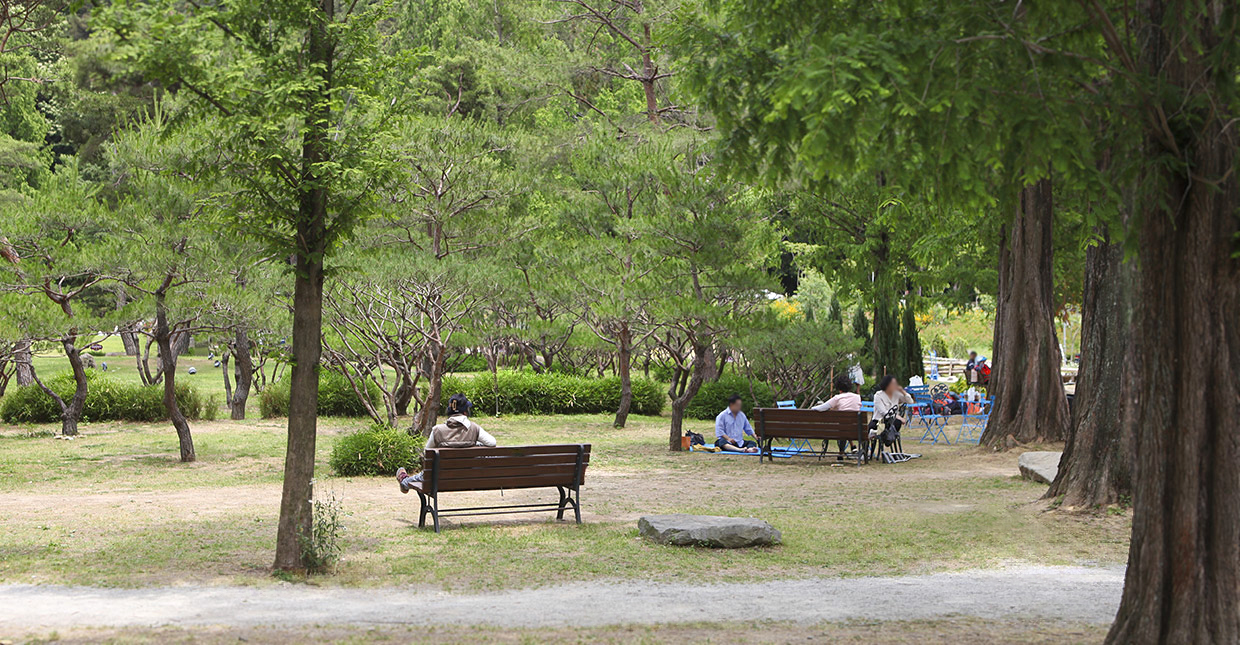 전주 피크닉 명소