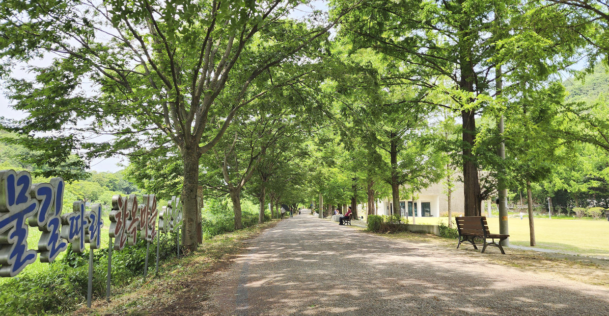 전주 피크닉 명소