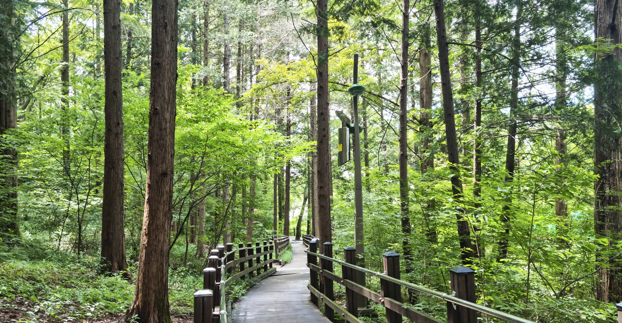 전주 피크닉 명소