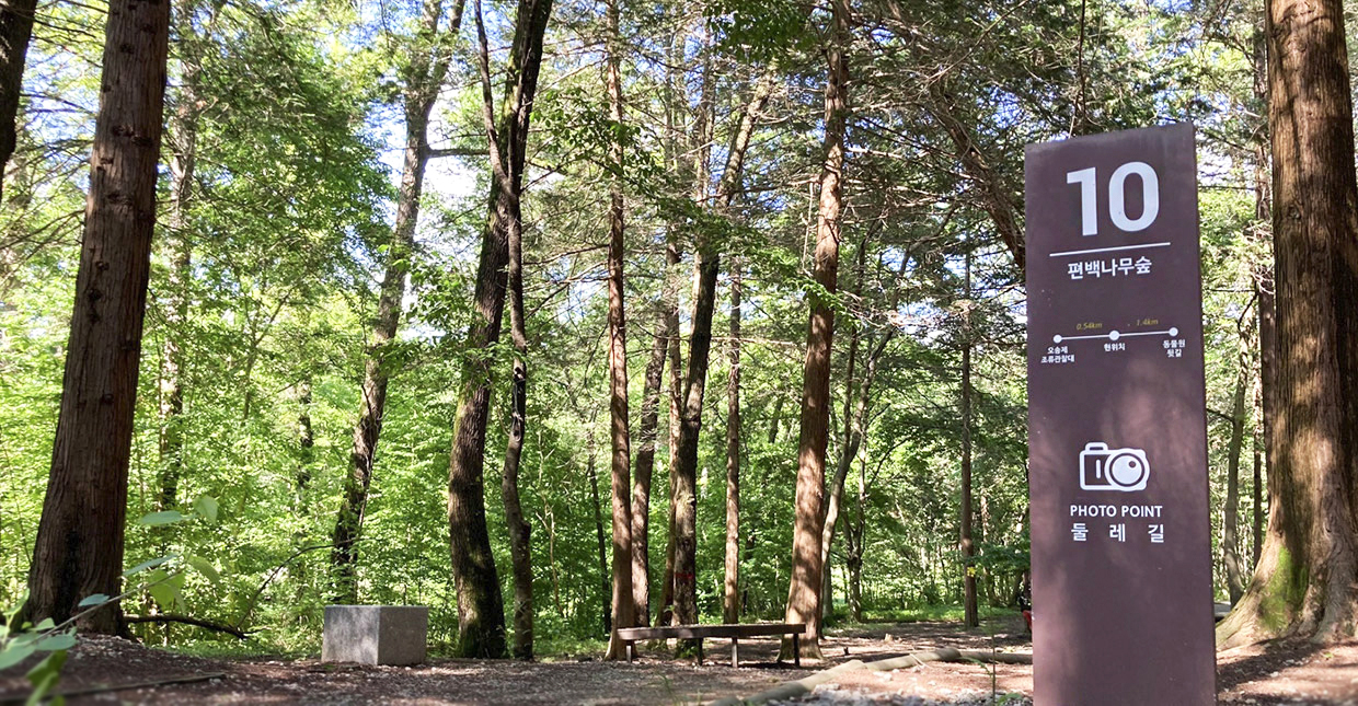 전주 피크닉 명소