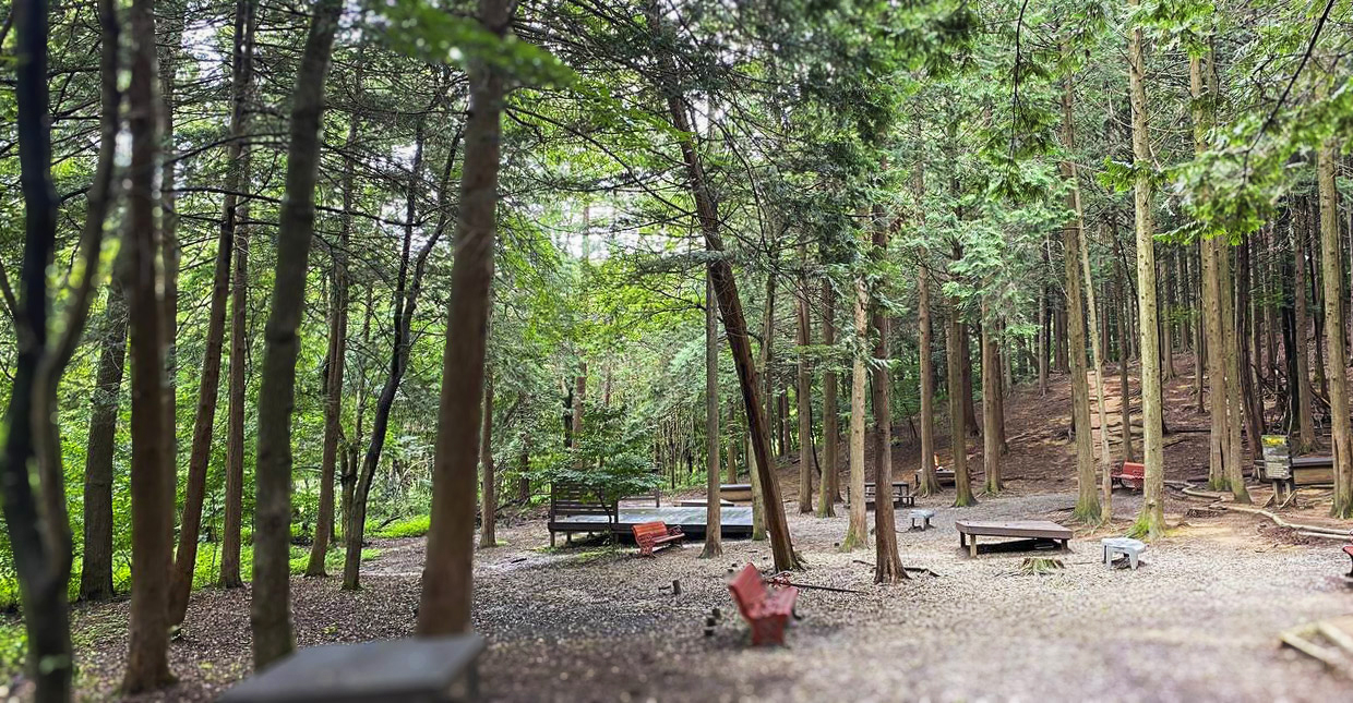 전주 피크닉 명소