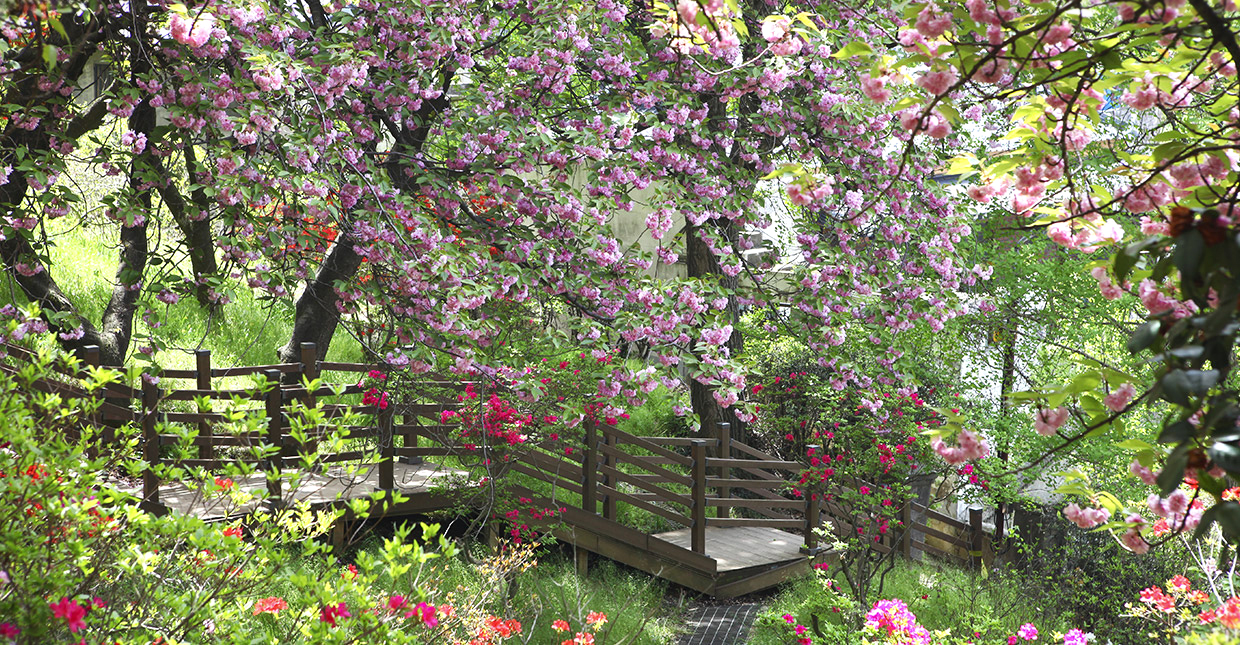 전주 피크닉 명소