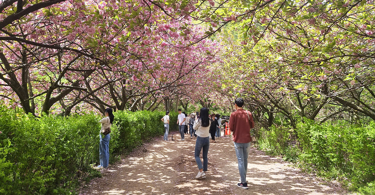 전주 피크닉 명소