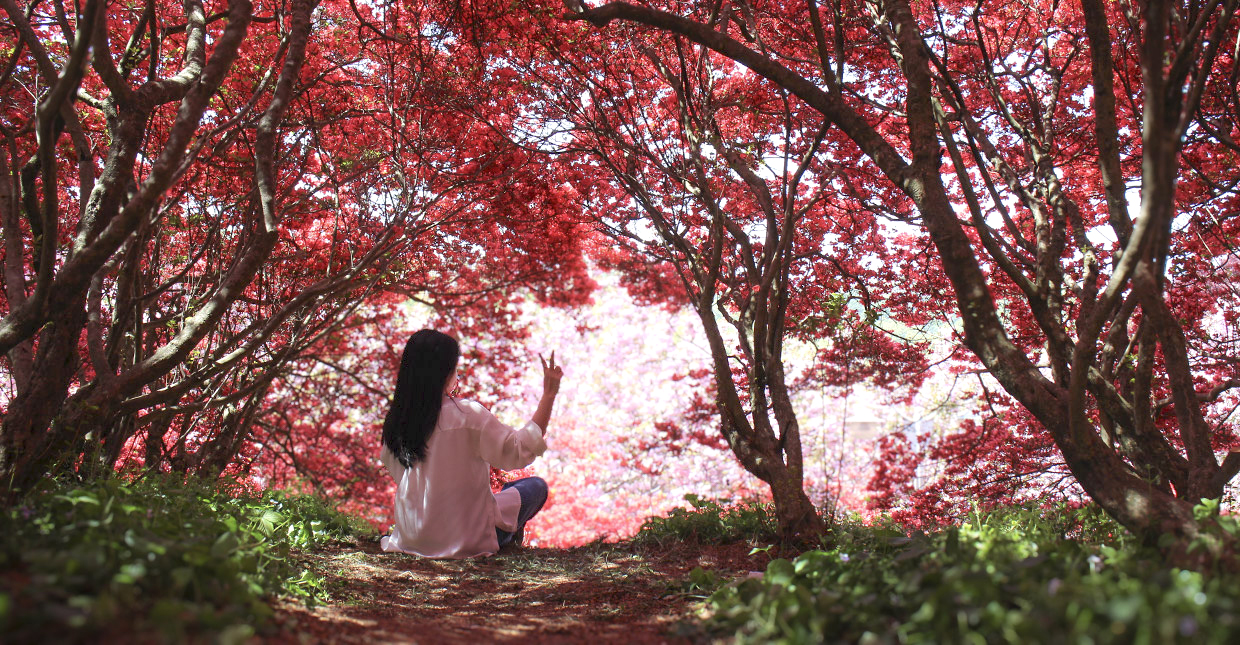 전주 피크닉 명소