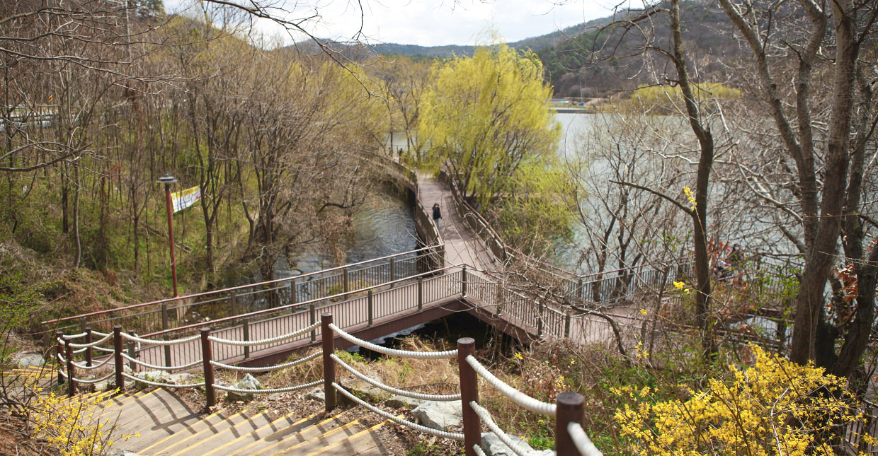 전주 피크닉 명소