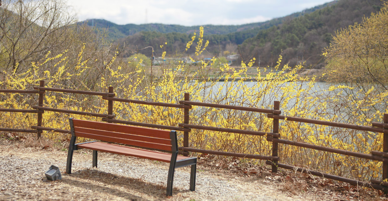 전주 피크닉 명소