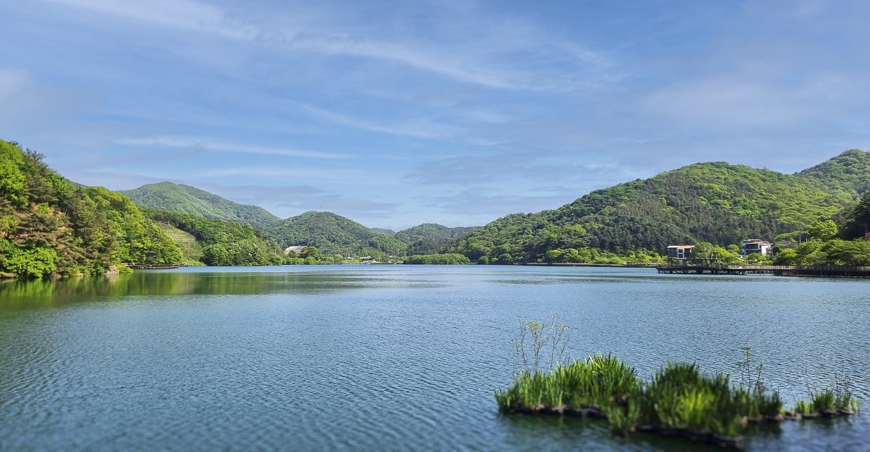 전주 피크닉 명소