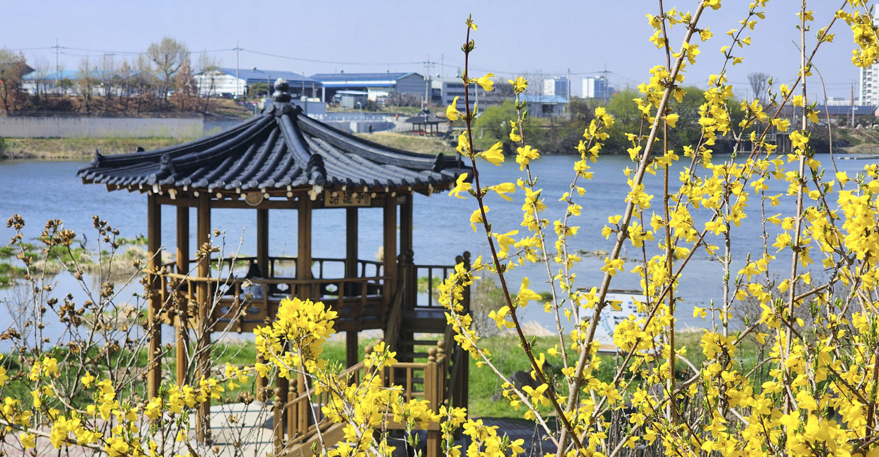 벚꽃로드