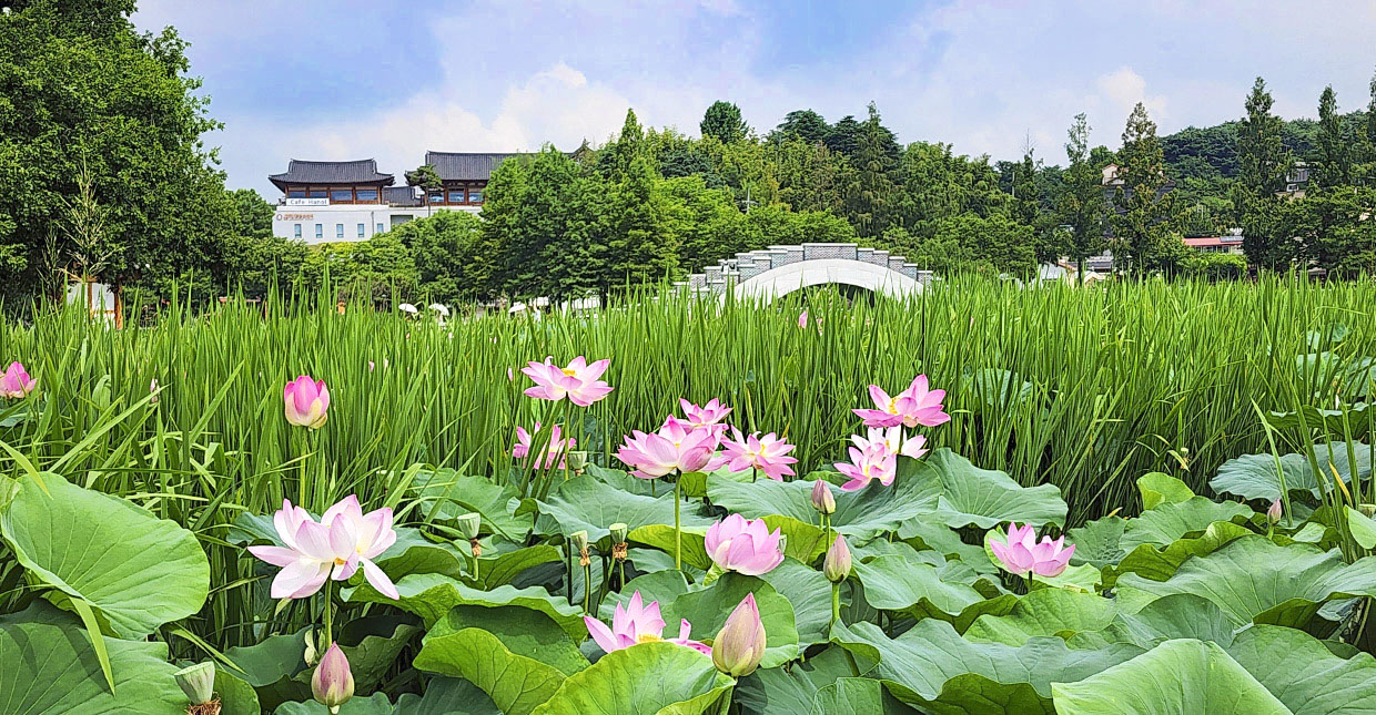 전주덕진공원
