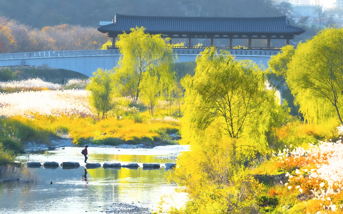 전주천