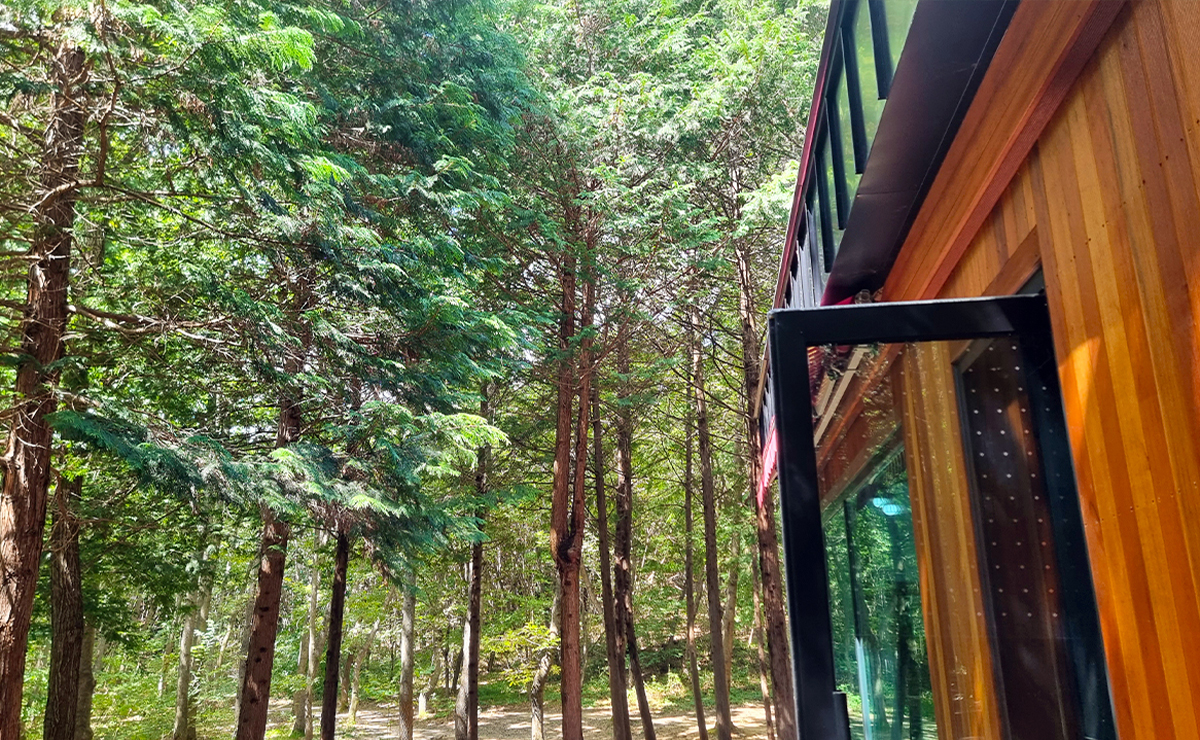 건지산숲속4.jpg