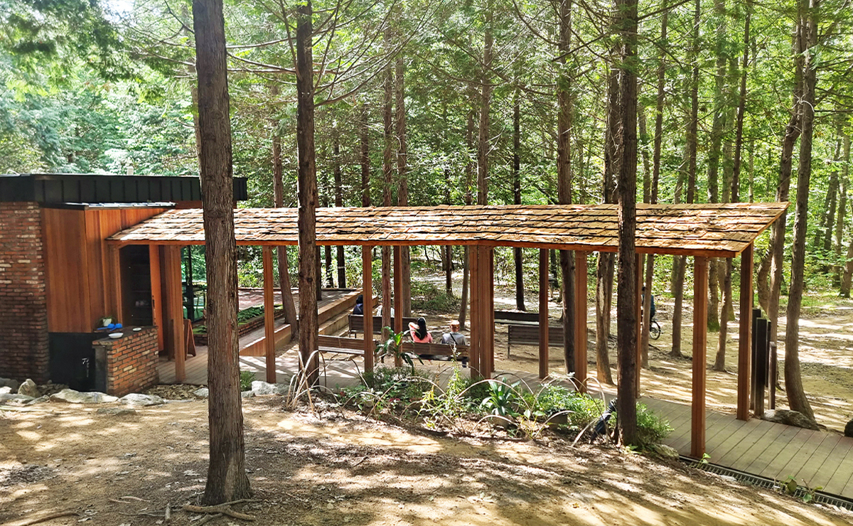 건지산숲속5.jpg